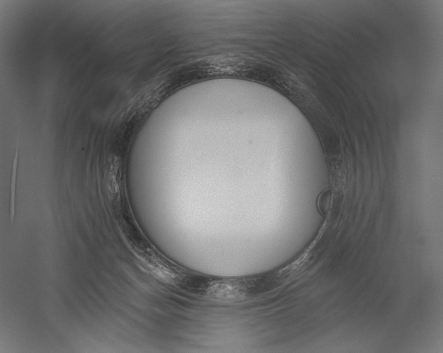 X0000051260174200507011728
