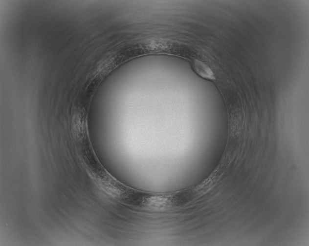 X0000051260176200507011728