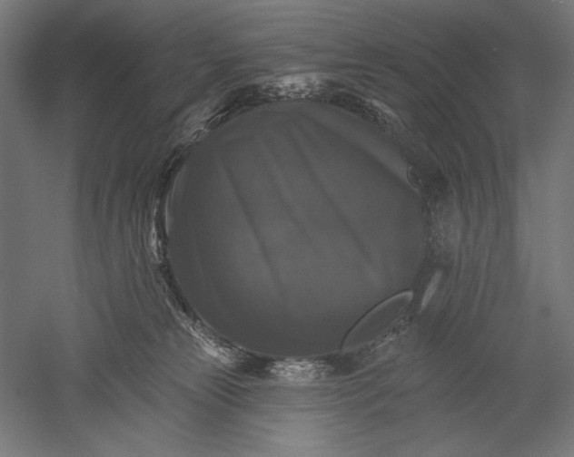 X0000051260181200507011728