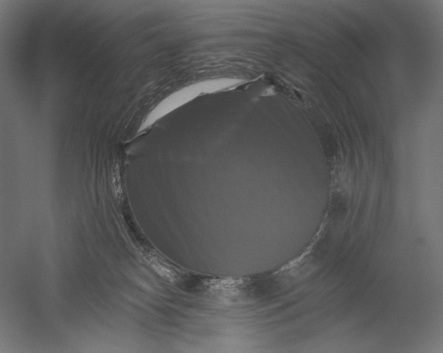 X0000051260182200507011728