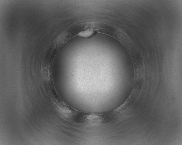 X0000051260183200507011728