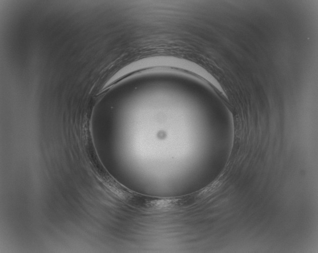 X0000051260184200507011728