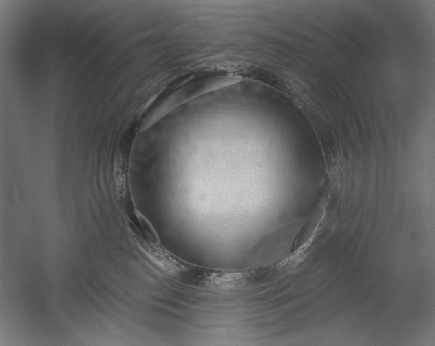X0000051260186200507011728