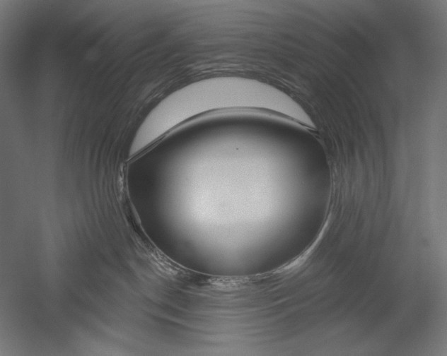 X0000051260190200507011728
