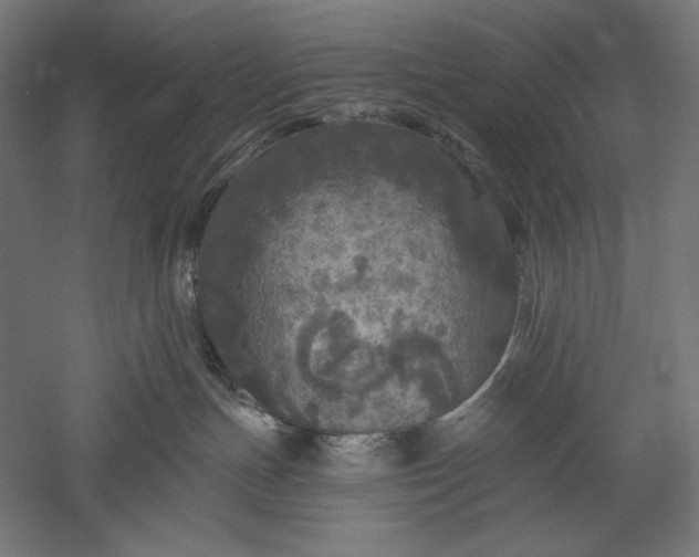X0000051260191200507011728