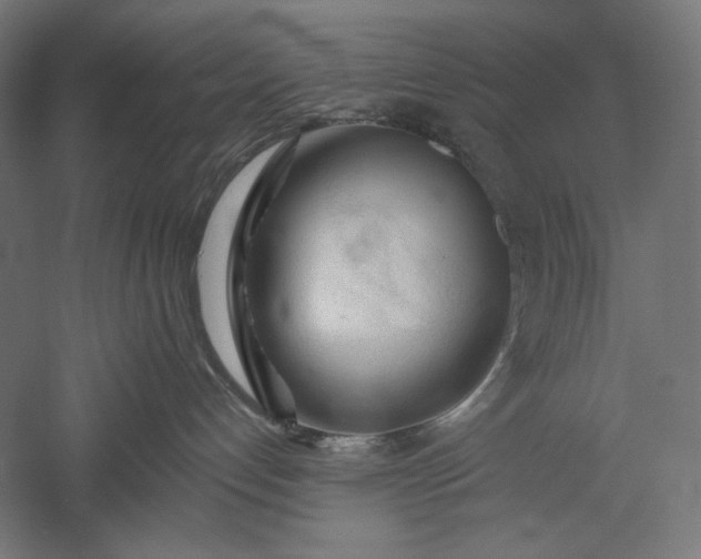 X0000051260192200507011728