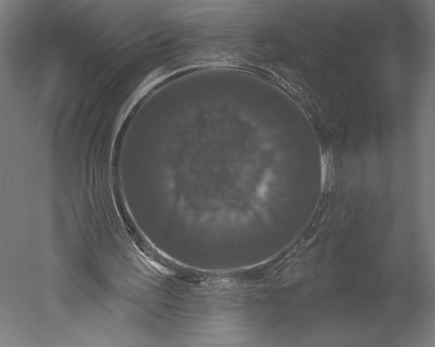 X0000051260195200507011727