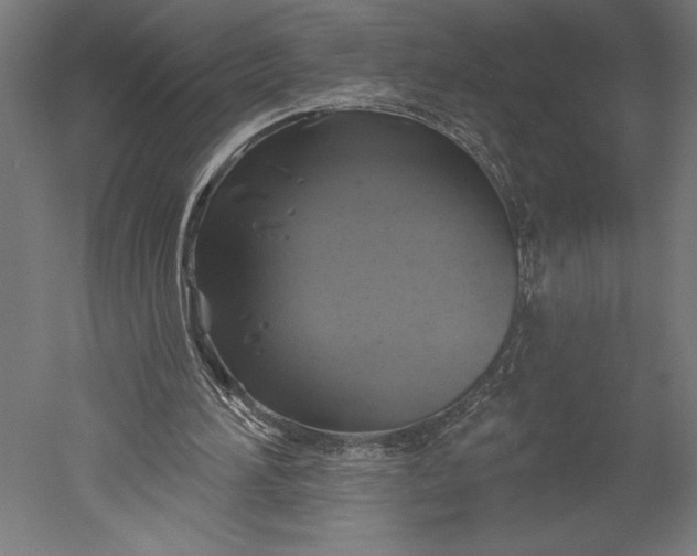 X0000051260196200507011727