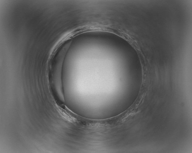 X0000051260197200507011727