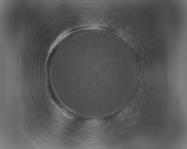 X0000051260198200507011727