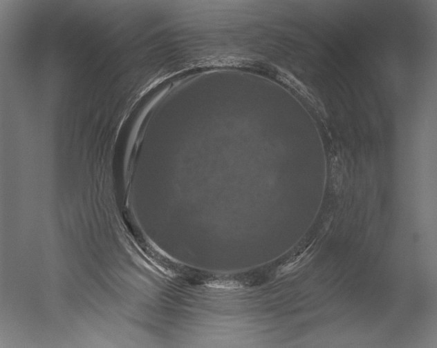 X0000051260203200507011727