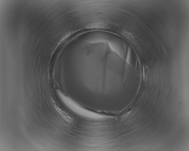 X0000051260204200507011727