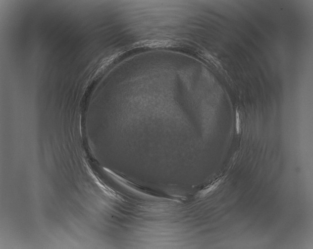 X0000051260205200507011727