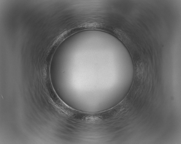X0000051260208200507011727