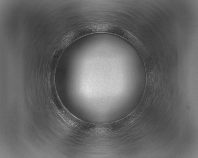 X0000051260209200507011727
