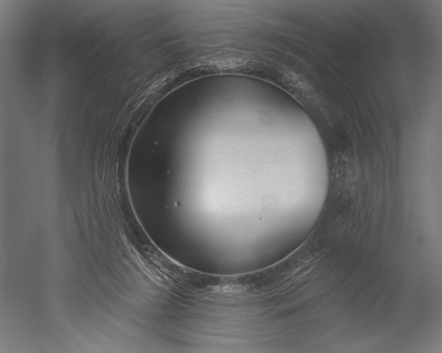 X0000051260212200507011727