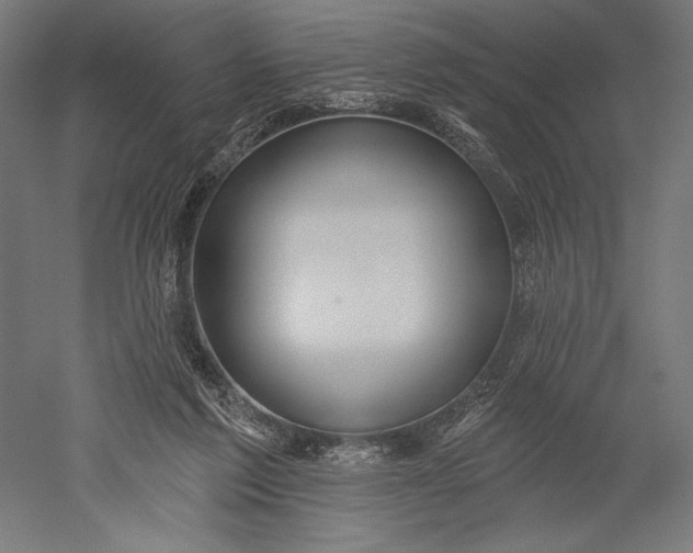 X0000051260213200507011727
