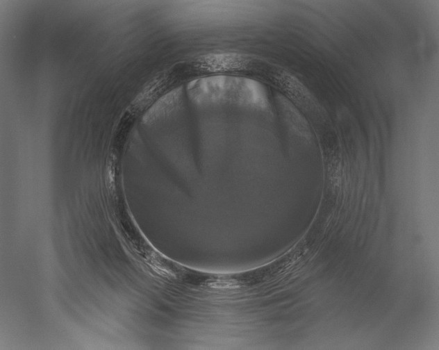 X0000051260214200507011727