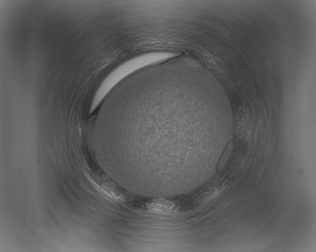 X0000051260215200507011727