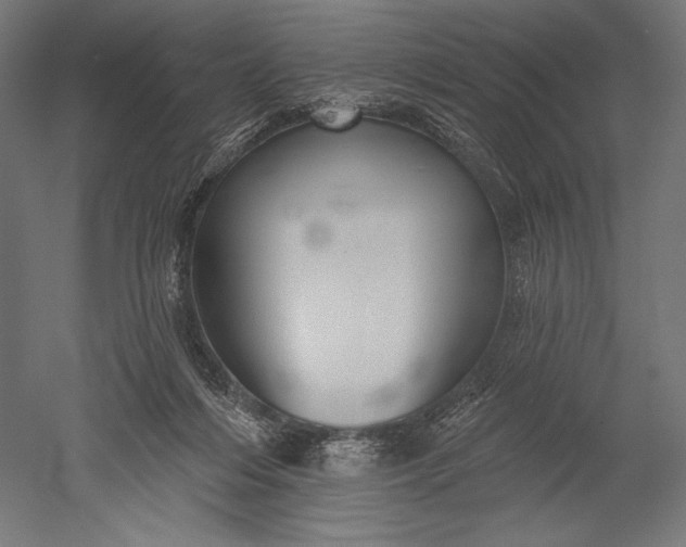 X0000051260216200507011727