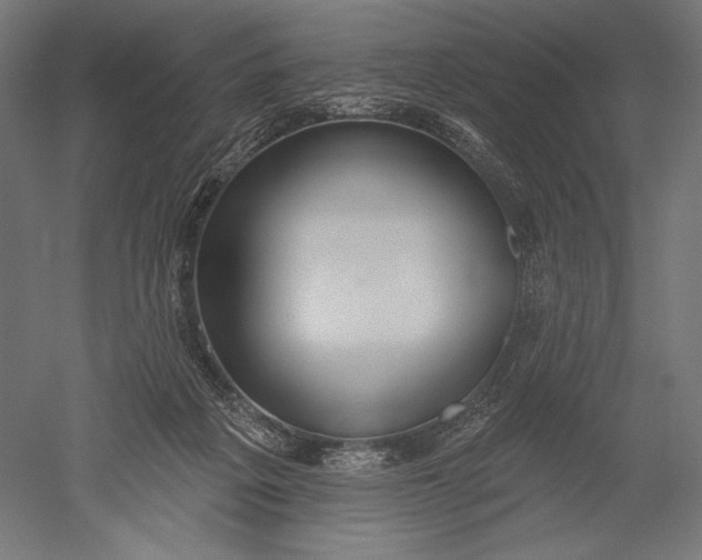 X0000051260217200507011727
