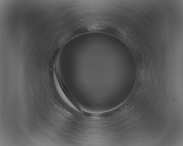 X0000051260219200507011727