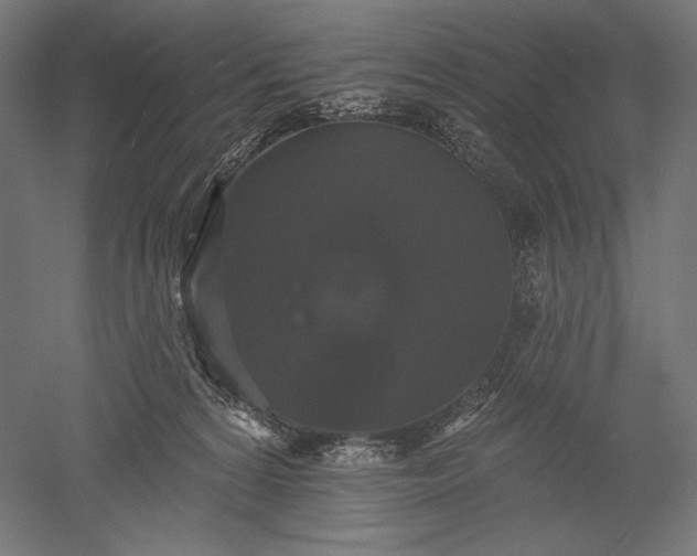 X0000051260224200507011727