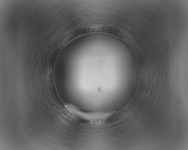 X0000051260225200507011727