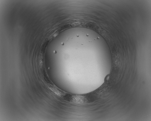 X0000051260226200507011727