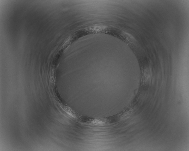 X0000051260236200507011727