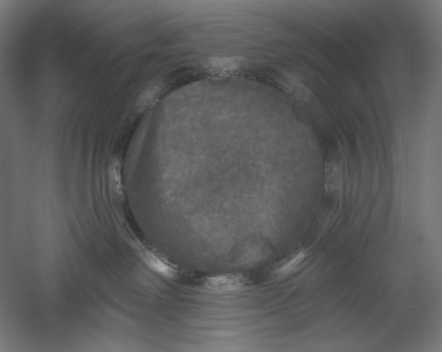 X0000051260238200507011727