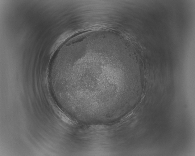 X0000051260242200507011726