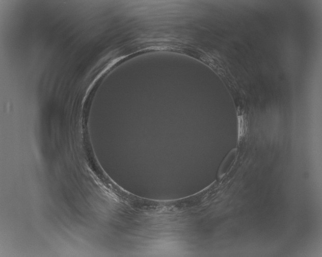 X0000051260243200507011726
