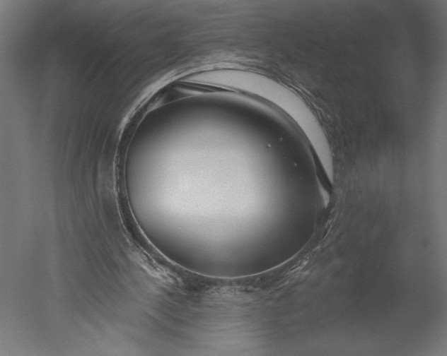 X0000051260244200507011726