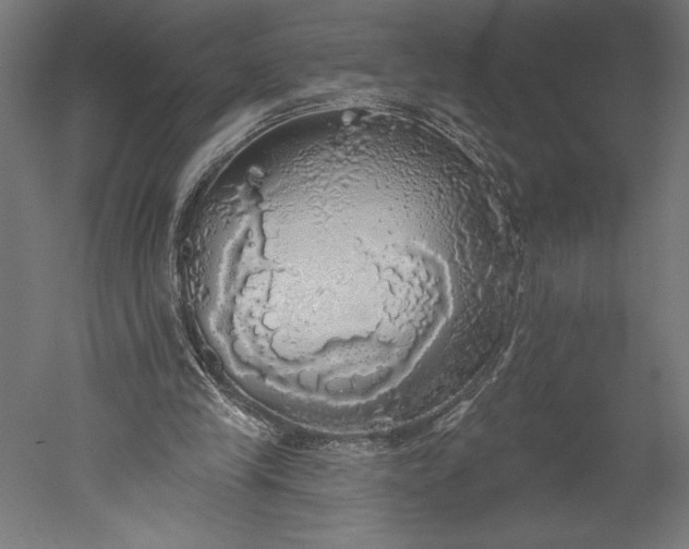 X0000051260245200507011726