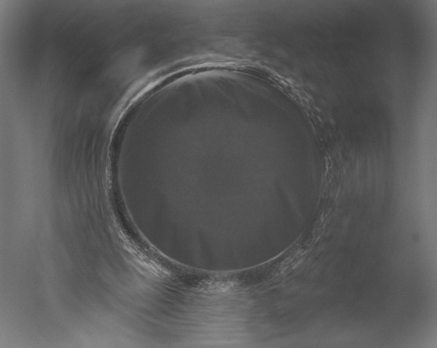X0000051260247200507011726