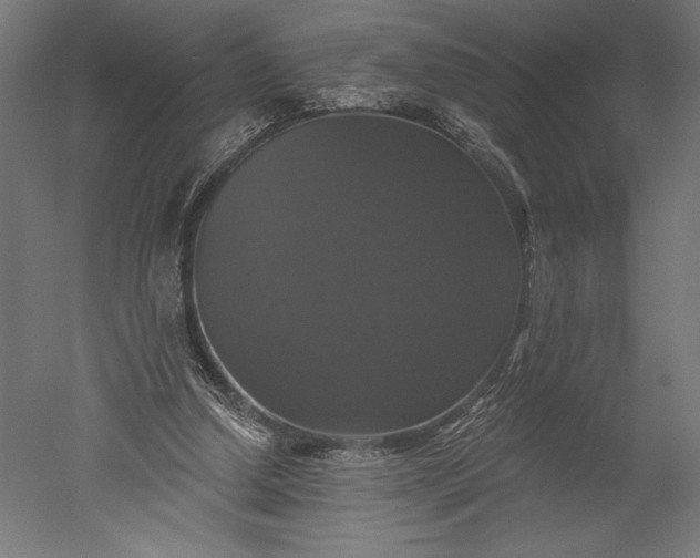 X0000051260250200507011726