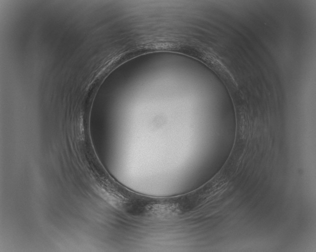 X0000051260251200507011726