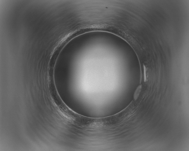 X0000051260252200507011726
