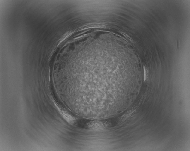 X0000051260253200507011726