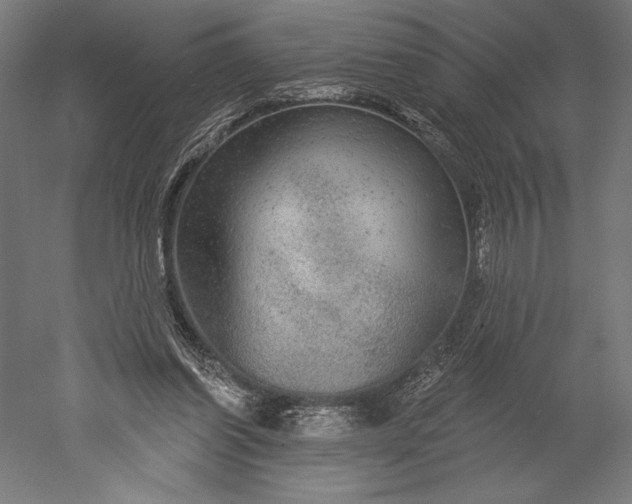 X0000051260254200507011726