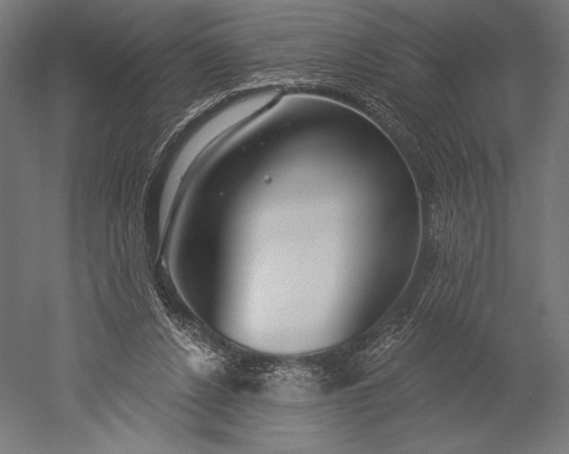 X0000051260256200507011726