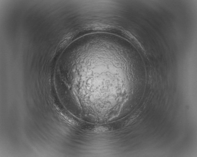 X0000051260257200507011726