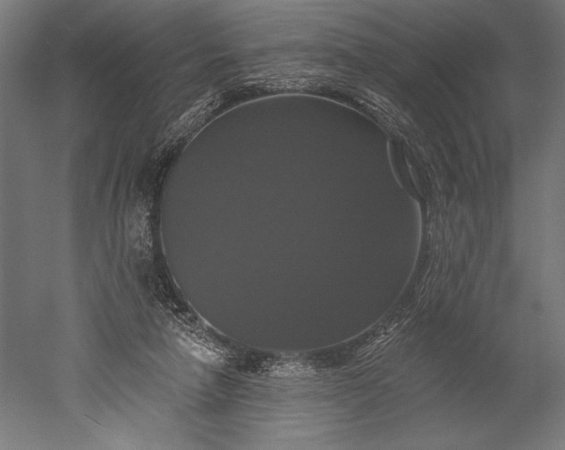 X0000051260258200507011726