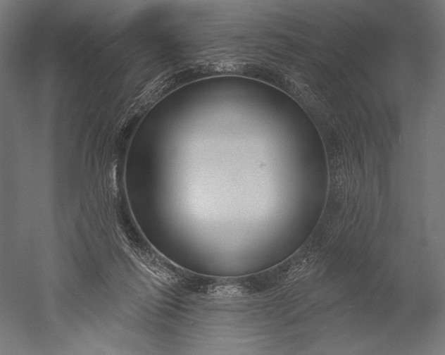 X0000051260262200507011726