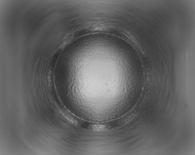 X0000051260265200507011726
