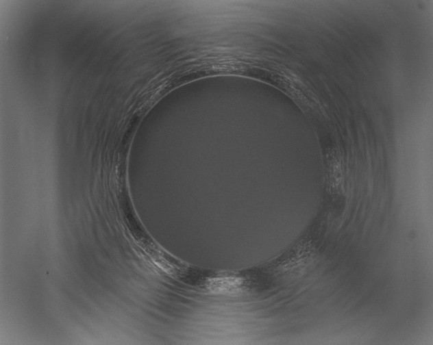 X0000051260266200507011726