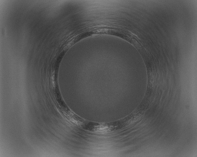 X0000051260267200507011726
