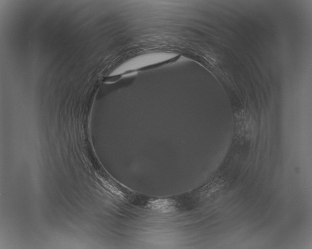 X0000051260269200507011726