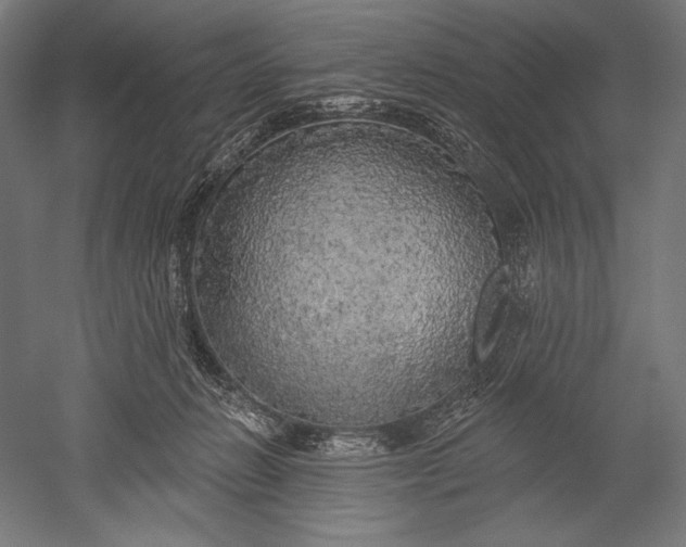X0000051260270200507011726